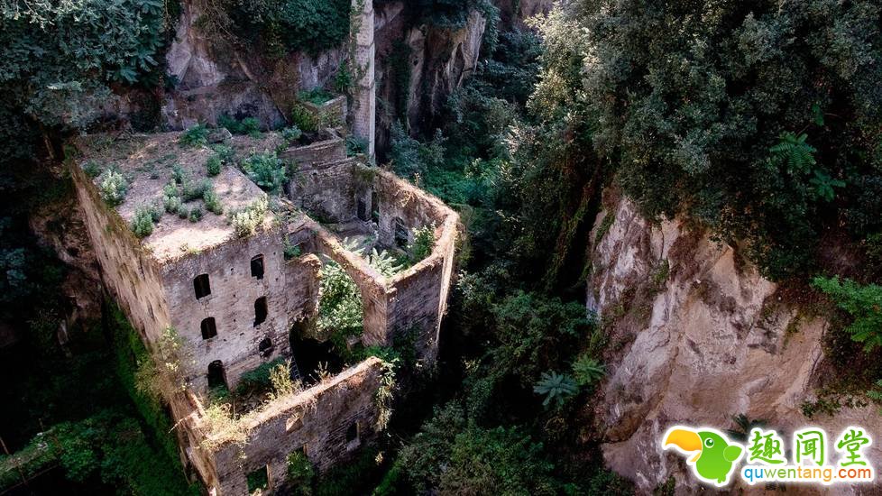 被人类遗弃后，大自然重新接管了这里！