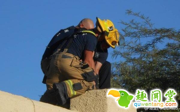 忘带钥匙爬烟囱回家的后果会是怎样？