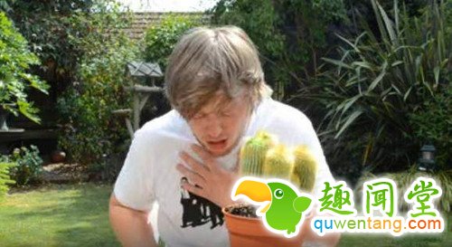 男子直播吃仙人掌，脑子被刺坏了？