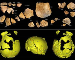 考古新发现：中国人是中、欧远古人类的后