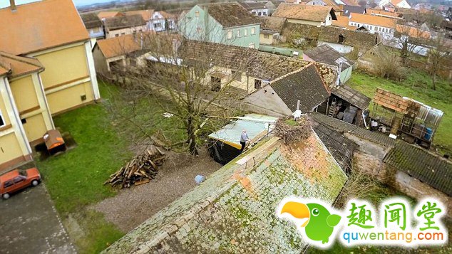 　 　 据英国《每日邮报》4月6日报道，克罗地亚一对白鹳夫妇的爱情故事在当地广为流传。14年来，公白鹳科雷派坦（Klepetan）每年准时从非洲飞回克罗地亚与母白鹳马莱娜（Malena）团聚。