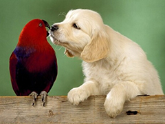 虐死单身汉“春天到了，