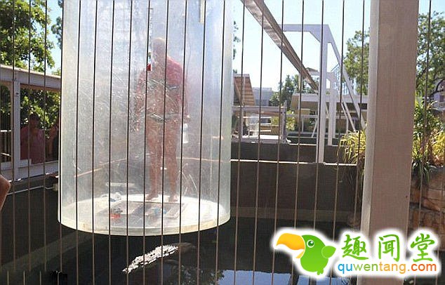 　 　 在澳大利亚达尔文市，“死亡之笼”是最有名的景点。冒险者可以体验被锁入圆柱形玻璃缸中，然后被起重机下放到咸水鳄来回爬行的水池中，以此近距离亲密接触这种冷血动物。一般大多数游客只有观看和惊叫的份儿。