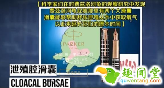 无奇不有！盘点地球上用屁股呼吸的三种奇特生物！