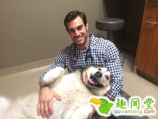 兽医身上不仅会