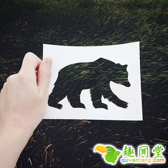 这么美轮美奂的动物剪影没想到竟然是用纸做的…