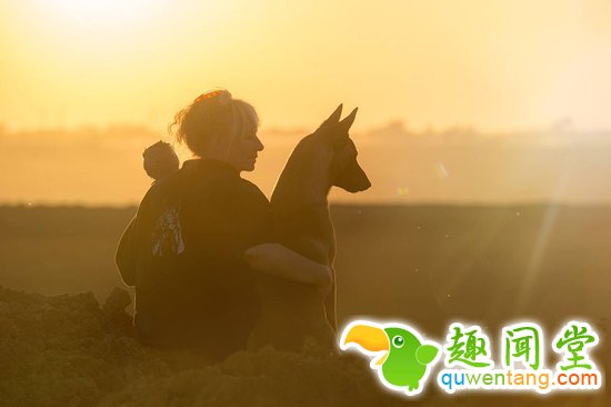 啊咧…这猫头鹰是成精了咩~萌你一脸血！