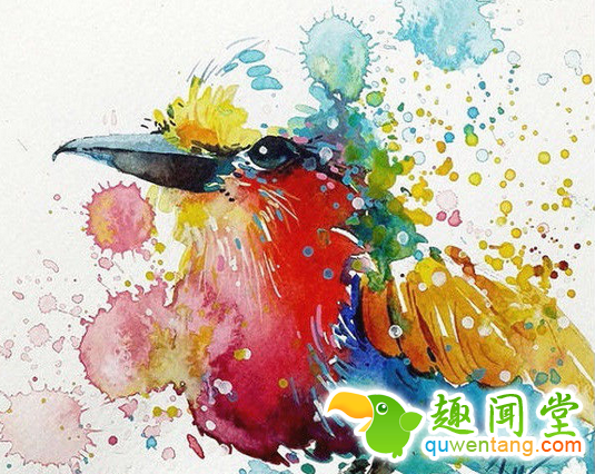 画笔下的水彩动物，感觉要从画中跑出来了~