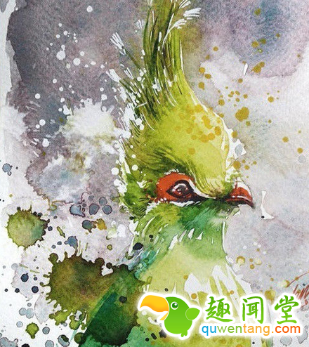 画笔下的水彩动物，感觉要从画中跑出来了~