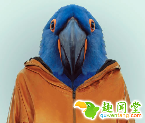 来自有意思吧（www.u148.net）