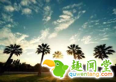 谁曾路过你的心？写的真好！