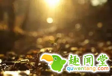 谁曾路过你的心？写的真好！