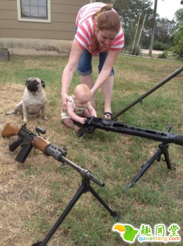 熊妈们的家庭照片令人哭笑不得