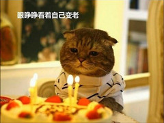 人生不如意十有八九 献给心情低落的你