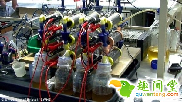 英发明尿液电池，半升尿液可为手机充电3小时