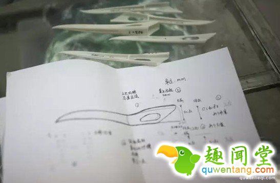 超稀有的丹顶鹤因为打架嘴巴断掉以后死定了，但手术后她现在的「钢铁超帅鸟嘴」已经让其他鸟都金盆洗手了!