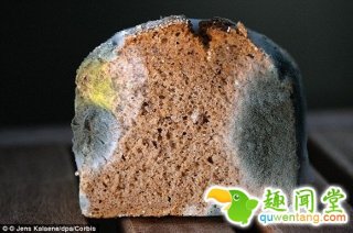 发霉的面包要扔掉？不！它能帮助合成锂离