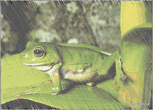 这些让人深信不疑的事情，竟然都是错的…