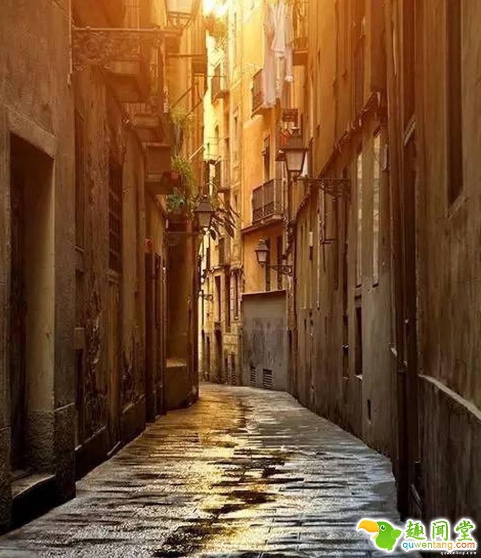 既然赖床这么舒服，为什么我们必须坚持早起？!