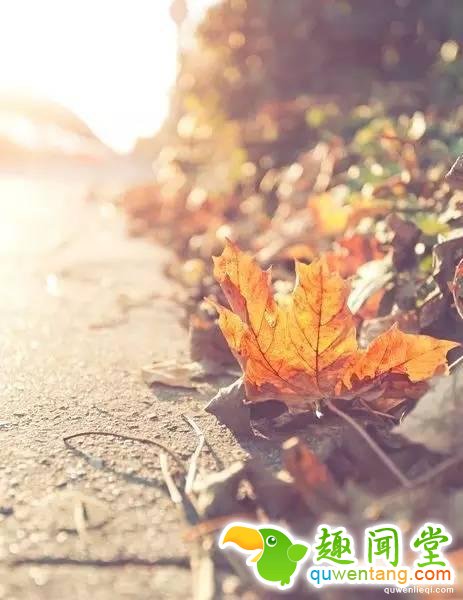 既然赖床这么舒服，为什么我们必须坚持早起？!