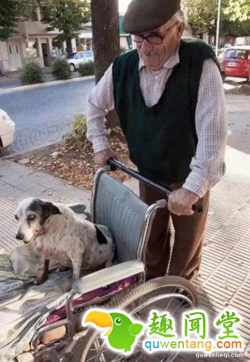 这20张照片, 证明生活还是很美好的！