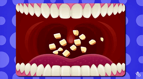 【真相帝】那些年不小心吞下的口香糖，真的会一直粘在你的肠子上吗？