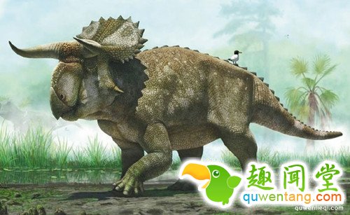 恐龙知识彻底被颠覆：人类压根就错了！