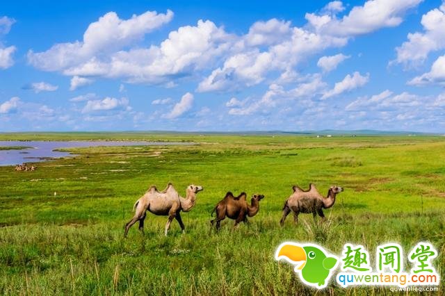 中国十大宝藏传说，其中三个己被证实