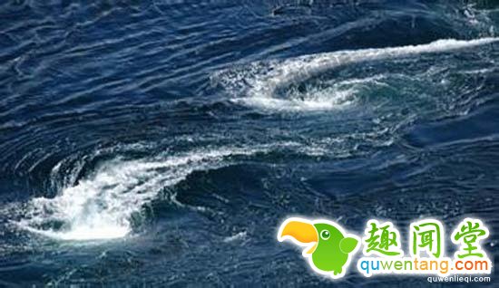 中国百慕大：30年间200多艘船沉没1600人离奇失踪