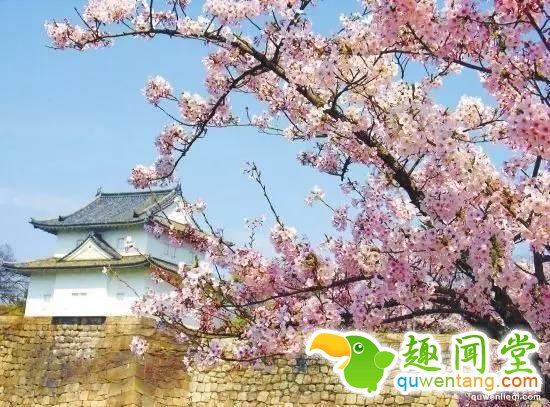 你发现没？春天越来越短了！原来如此