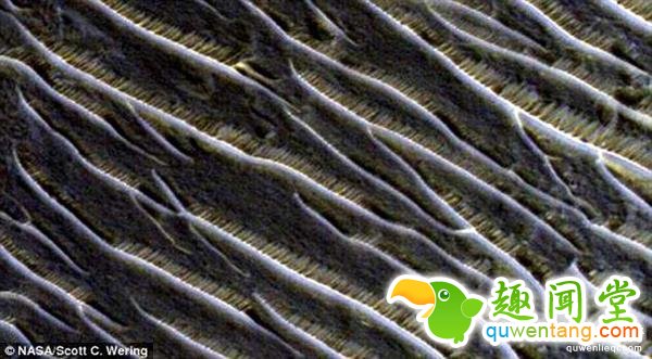 照片惊人！火星出现疑似外族城市：文明程度高