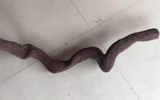 一土豪花了150万买了一根木头，切开后里面