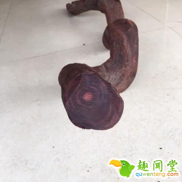 一位土豪花了150万买了一根像条蛇的?；颇玖希敝诰驼胰饲锌静暮?，里面的东西竟让他一夜变成千万富翁...