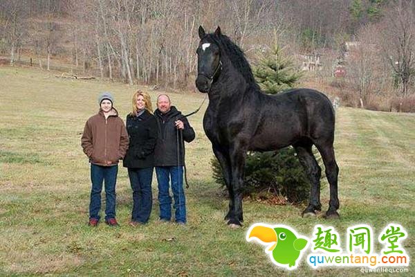 直击全球罕见的14种大“怪物”