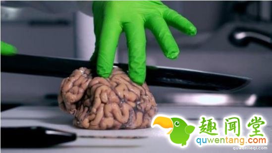 在英国，不少人愿意死后把大脑存入特殊的