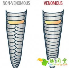 15个不想突然死掉就一定要记在心里的救命