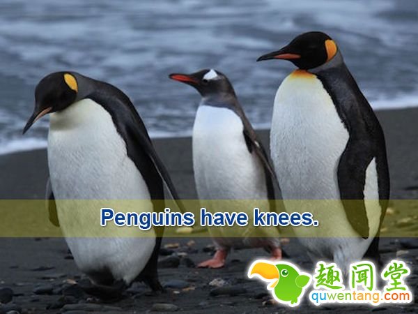 18个会让「你瞬间发现之前都笨笨」的新奇生活小知识！