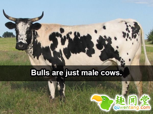 18个会让「你瞬间发现之前都笨笨」的新奇生活小知识！