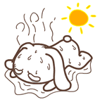 99%的车主没看都后悔了，夏天停车一定要把