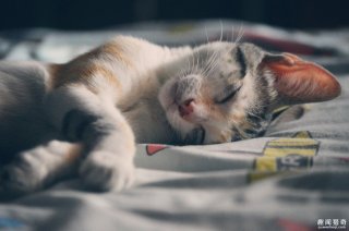 你笨是因为睡太少！睡眠不足的后果比你想