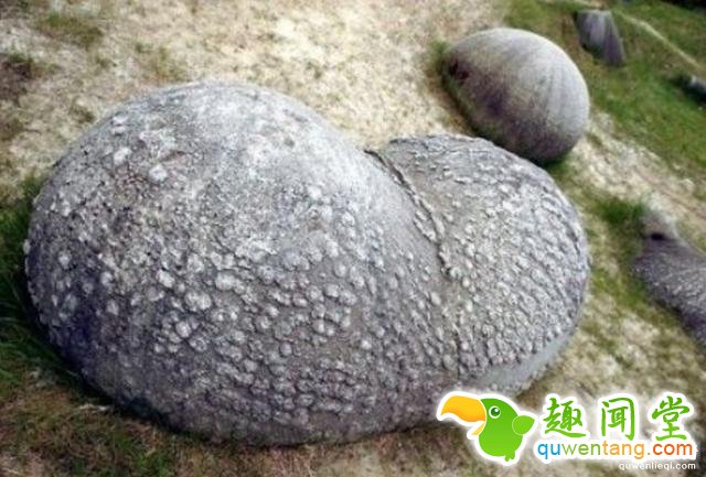 国外石头也疯狂，见水疯长上千倍