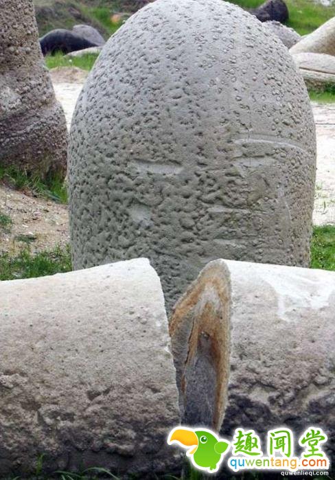 国外石头也疯狂，见水疯长上千倍