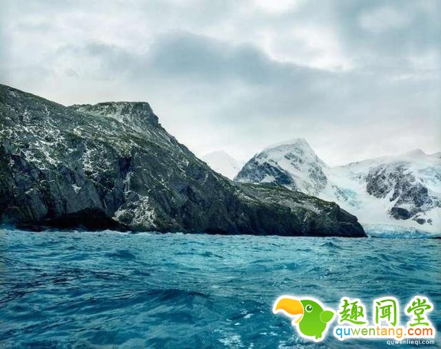 世界上“长生不老”的植物，有些已经存活10万年了