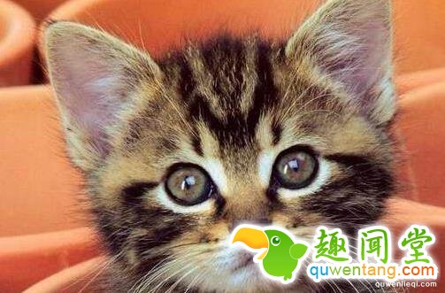 盛传世界的20个谎言，中国人竟被骗了上千年！