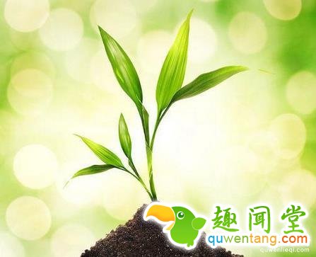 全世界最糟糕的8种工作，看到第一个就想吐了！