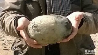 渔夫在海上无意间捡到一坨恶臭石头 竟是