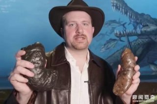 男子痴迷收集便便，最贵的一坨能卖到7万