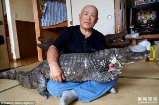 老人养鳄鱼当宠物34年，每日帮其刷牙