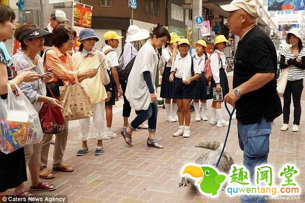 自此之后，这条鳄鱼就与信光及其妻子居住，并被命名为“凯门”?？旁诩铱梢运嬉馀佬?，生活得自由自在，现在已经长2米、重92斤了。信光坦言买之前没有想过鳄鱼会长得如此巨大。