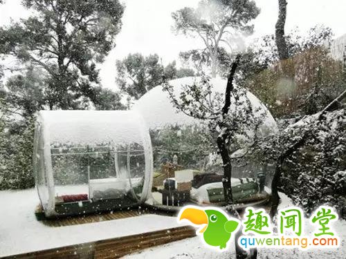 野外神器，360度气泡帐篷